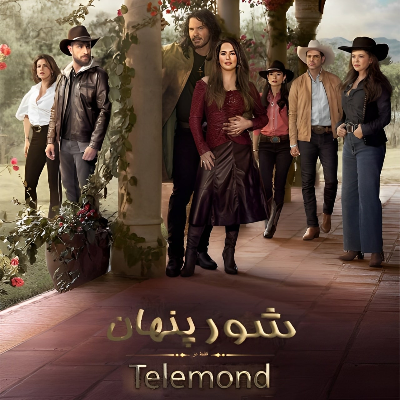 سریال شور پنهان